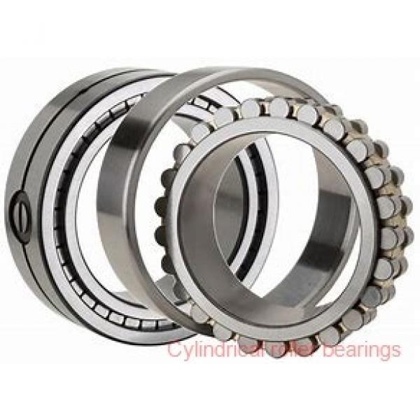 65 mm x 120 mm x 23 mm  NKE NJ213-E-MA6 cylindrical roller bearings #2 image
